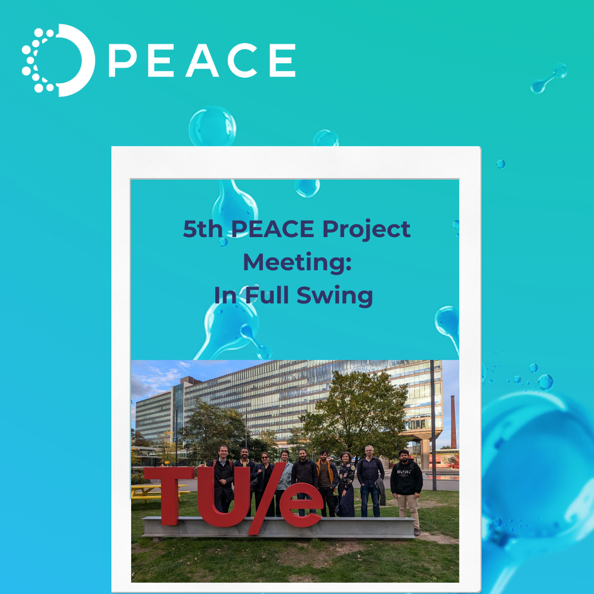 5th PEACE PROJECT MEETING: IN FULL SWING
